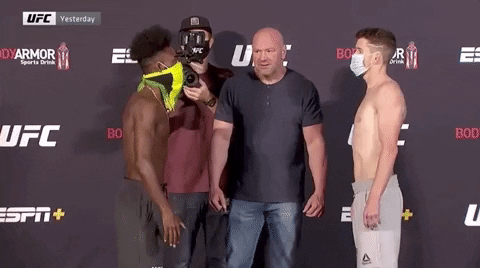 Aljamain Sterling Sport GIF by UFC