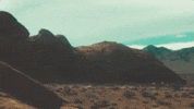 lana del rey ride GIF