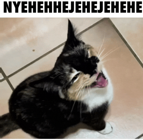 Cat Laugh GIF