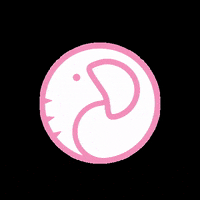 pinkelephantnz pinkelephantnz GIF