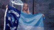 North Carolina Flag GIF by UNC Tar Heels