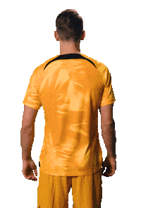 Fifaworldcup Luukdejong Sticker by OnsOranje