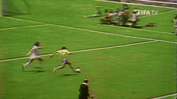 World Cup Wow GIF by FIFA
