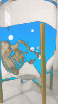 Wedo GIF by We Do Medias