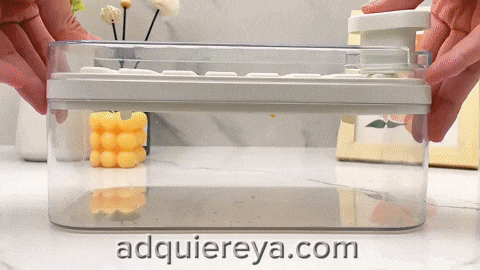 rociogn6 giphyupload GIF