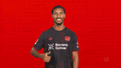 Bayer Leverkusen GIF by Bundesliga
