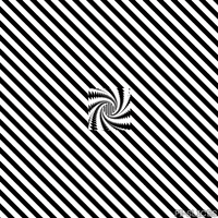 black and white loop GIF by Pi-Slices