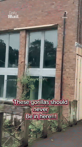 bca0d780d8d84485a36f002148d71e0b giphyupload GIF