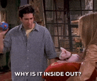 Season 5 Episode 118 GIF by Friends