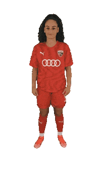 schanzerinnen frauenfussball nichtohnemeinemädels schanzerinnen 2 frauen bundesliga Sticker