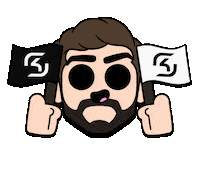 Brawl Stars Sticker Sticker by SK Gaming