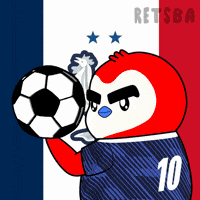 France Football GIF by Retsba