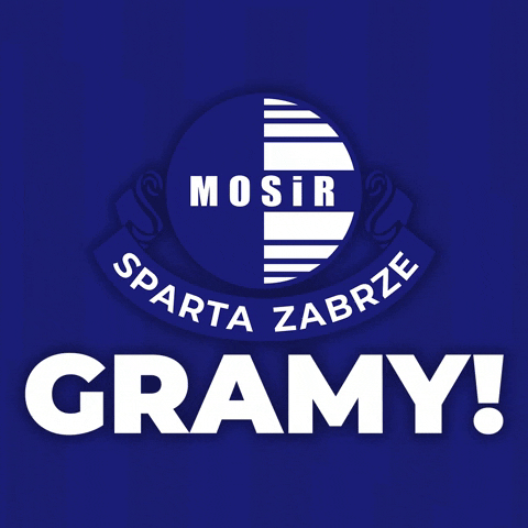 Gornik Zabrze GIF by Sparta Zabrze
