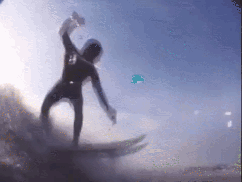 the mystery files of shelby woo nicksplat GIF