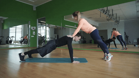 dsedkov giphyupload GIF