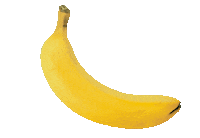 Banana Rocking Sticker by Tom Windeknecht