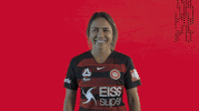 western sydney wanderers football GIF by wswanderersfc