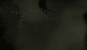 Slither Alien Isolation GIF by Xbox