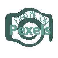 pexelsphotos photos stock photos pexels pexels photos Sticker