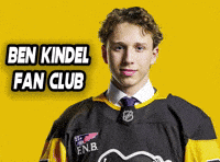 Pittsburgh Penguins Nhl GIF