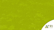 Boom Plant GIF by TRI Groei in Groen