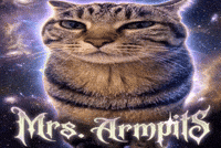 Nana Cat Meme GIF
