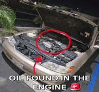 Fork Lexus GIF