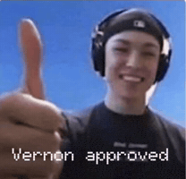 Seventeen Vernon GIF