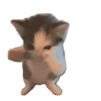 Cat Sticker