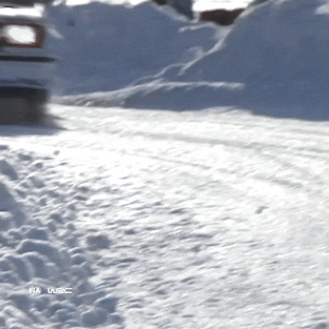 Rallying Rally Sweden GIF by FIA World Rally Championship