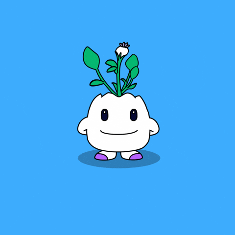 Make It Rain Money GIF by Magic Eden