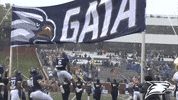 Football Entrance GIF by Georgia Southern Athletics