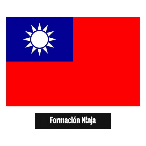 Taiwan Flag Sticker by Formación Ninja