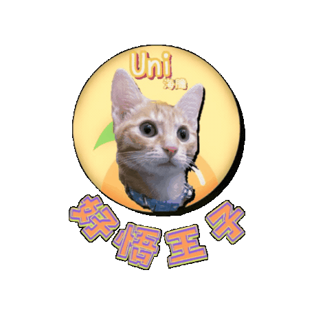 petso-llp logo orange pet line Sticker