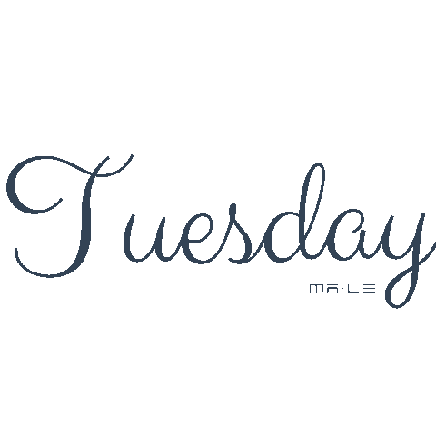 Tuesday Weekday Sticker by MarketingLeaders