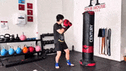 Martial Arts Fighting GIF by Your House Fitness
