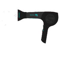 Heat Hairdryer Sticker by Bio Ionic