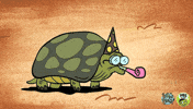 Celebrate Happy Birthday GIF by PBS KIDS
