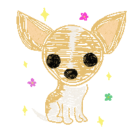 dariimoon puppy pet chihuahua Sticker