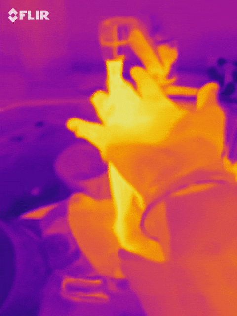 xcbcvccxscxcv giphyupload GIF