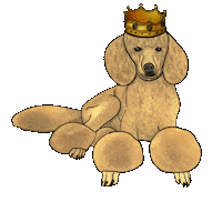 Pudelija Sticker