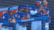 Ny Mets Dugout GIF by New York Mets