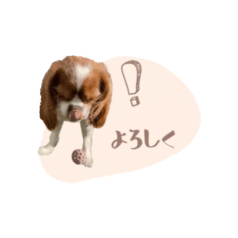キャバリア Sticker