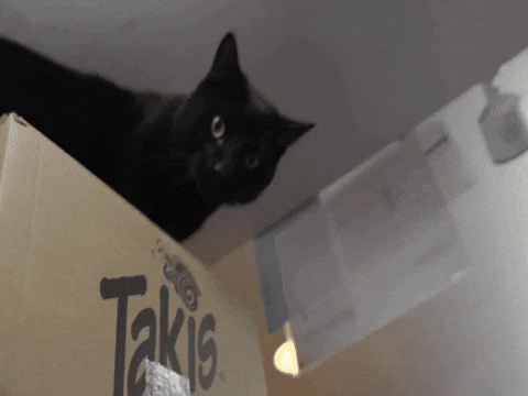 Illuminati Ugh GIF by broke