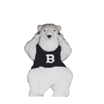 Polar Bear Sticker by Bowdoin College
