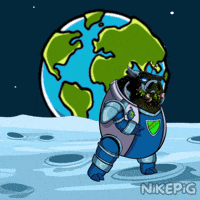 Planet Earth Dance GIF by Nikepig