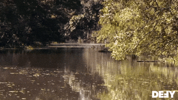 This Place Has A Eerie Feeling