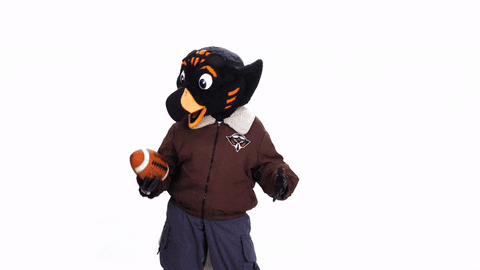 Football Mascots GIF by utmartin