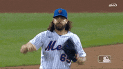 Ny Mets Raise Hand GIF by New York Mets