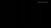 Animated Christmas Snow Transitions